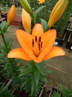 [5091 Dunes No02.JPG]